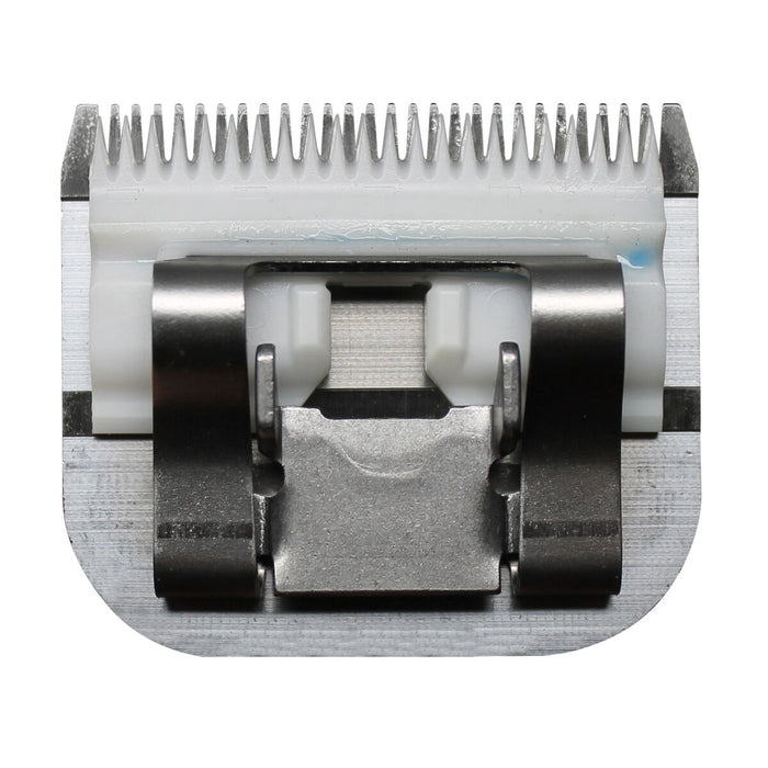 V3H06B97E581E51EF9FD9D4B58C7A265A01R5554766P4