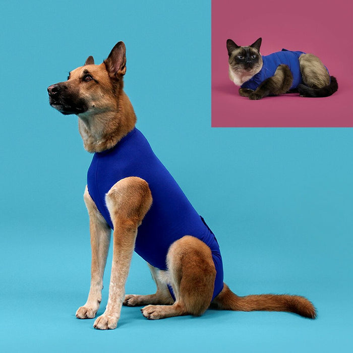 T-Shirt zur Genesung von Haustieren KVP Blau 35-43 cm