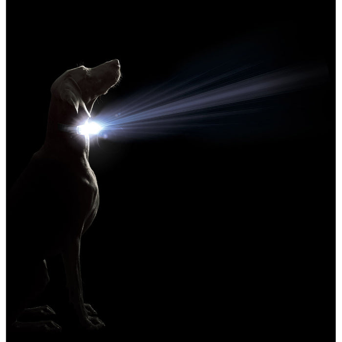 V3HA4371F704341F24573E8ACB04553C5A4R5554904P2