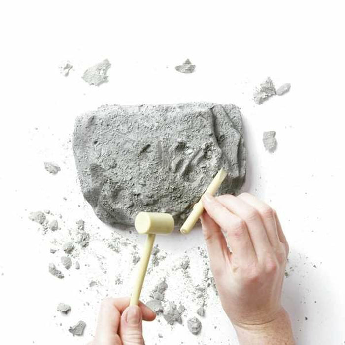 V4HFE843499E14430166C5666E32EE22B49R5698139P5