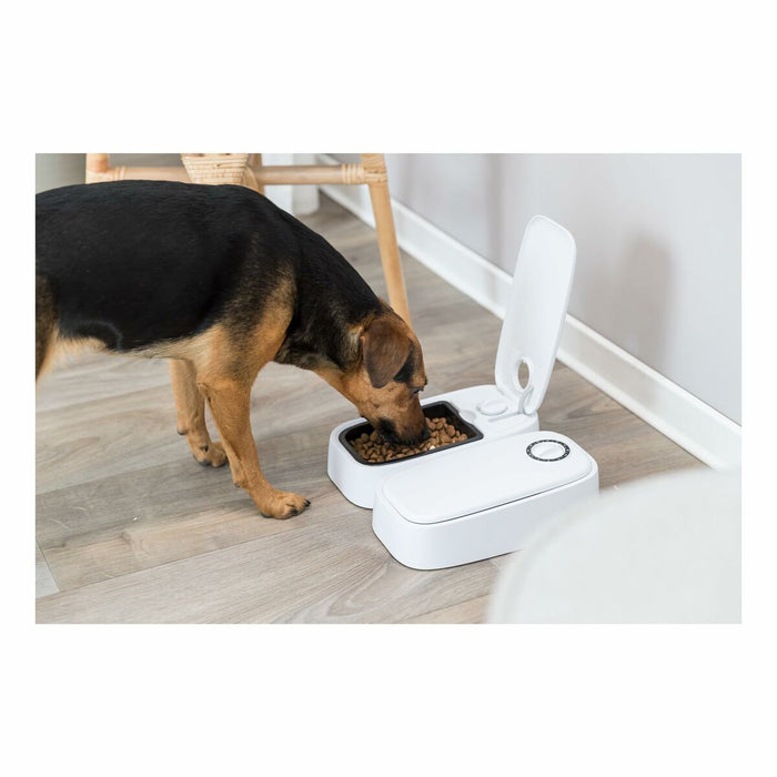 V2HB01B575263B2F5901E86893BE6B3C4E3R7237364P9