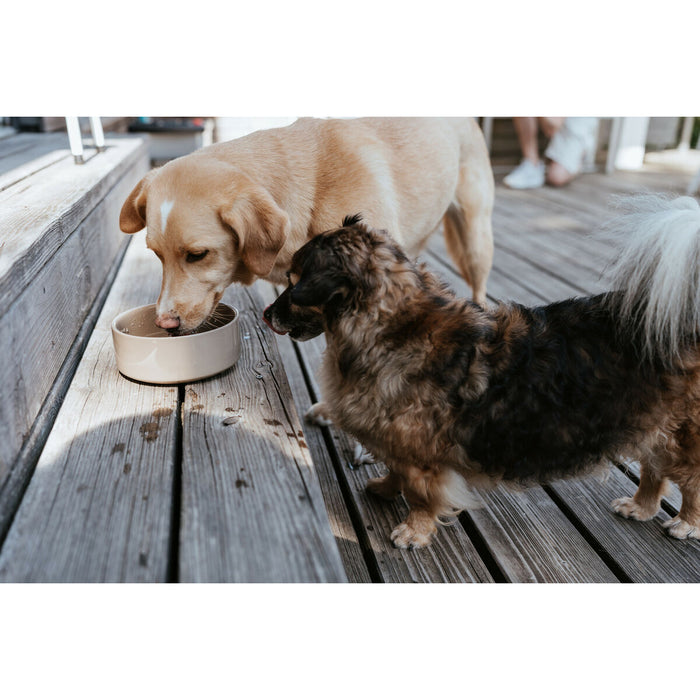 V4H2C3A3627120386C7EAE71238ADAD9D86R6455855P3