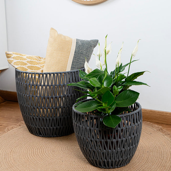 V8HCE4EBAA9ADFA40101CE2C570237CD3D1R5340449P2