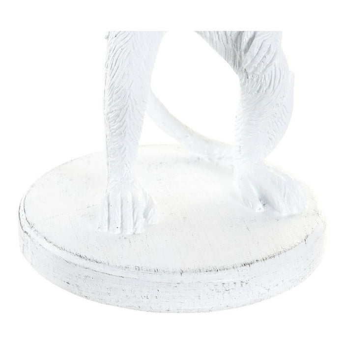 V10H7496753E7F9B88C5536ED50869B839DBR6371086P4