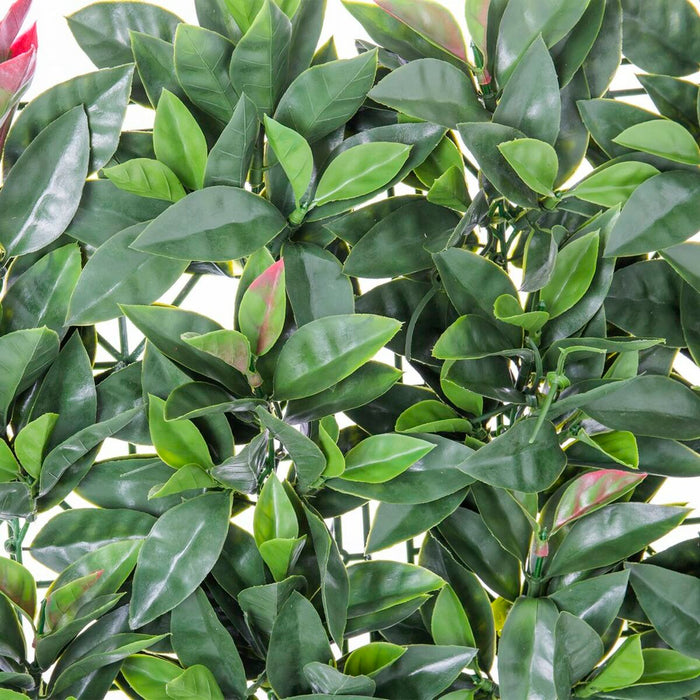 V5HBE6AB6C916C77CA6278A3EE4C5978EB8R2843214P2