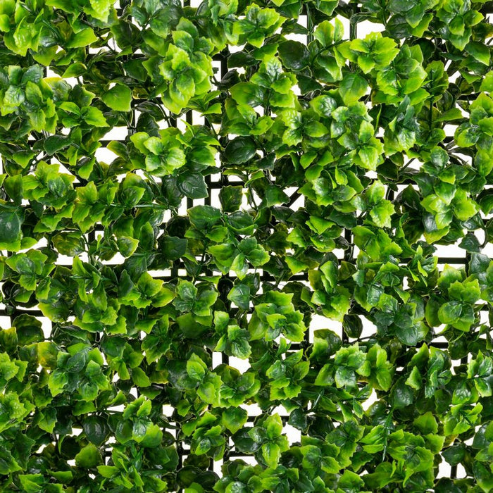 V5HC5C146B3B16E4B0BF284AB7262696E5DR2843148P3