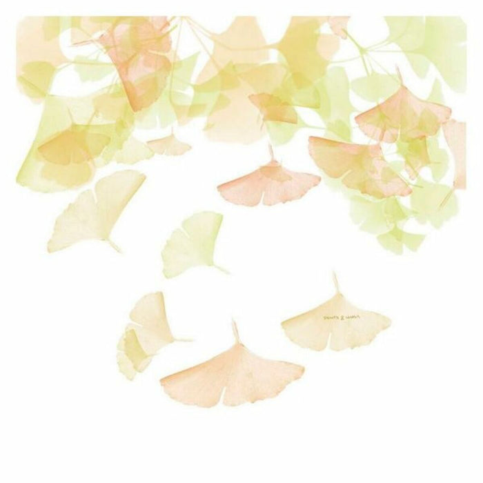 V11H91A79EB890D8F9AFEE93DF6C25A6EE58R3398126P1