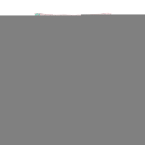 V5HACCB04498CFE16C89E67DD05B77ADE95R5211317P1