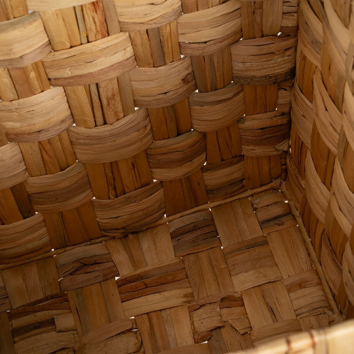 V6HBAE1EF9629E39E32945DB5F02C846499R3703018P7