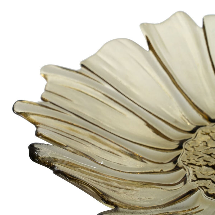 V6H82E5F2AA9333784C5C55503E605591E2R6294450P4