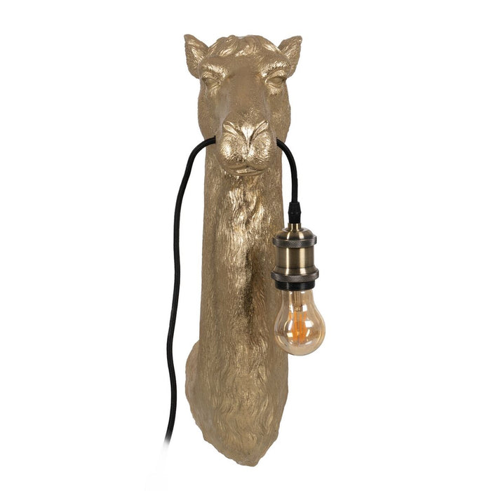 V6HEB6C6B9EA2B8FC9AAA392B8E06D6F425R3703255P2