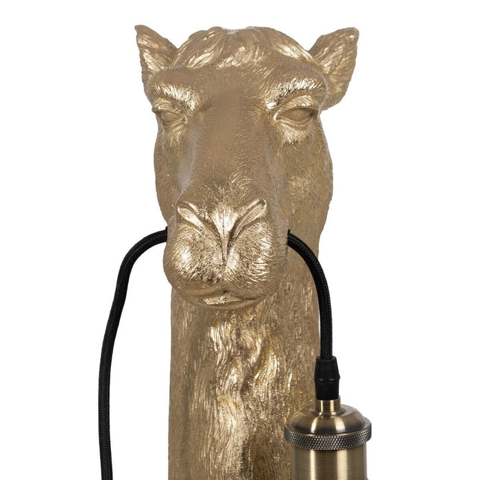 V6HB3E93947DACC8120E8110CD876A7F1EAR3703260P7