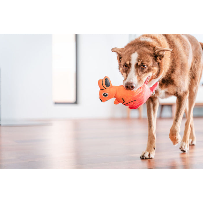 Hundespielzeug Red Dingo 23,5 cm Känguru Innen/Außenbereich