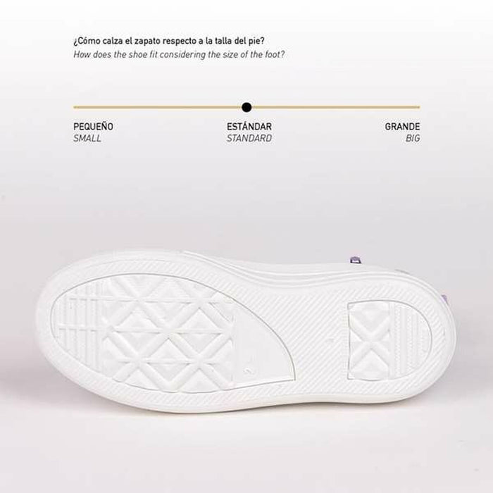 V6H667581EC04B6226F452334053FD339D7R6953015P3